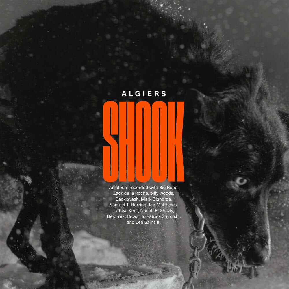 Algiers - Shook | Buy the Vinyl LP from Flying Nun Records