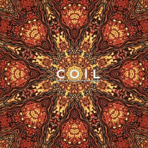 Coil - Stolen & Contaminated Songs - Flying Nun  | Vinyl | CD