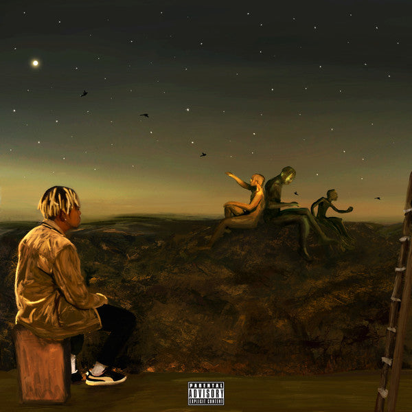 Cordae - From A Bird’s Eye View - Flying Nun  | Vinyl | CD