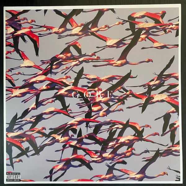 Deftones – Gore | Buy the vinyl LP from Flying Nun Records 