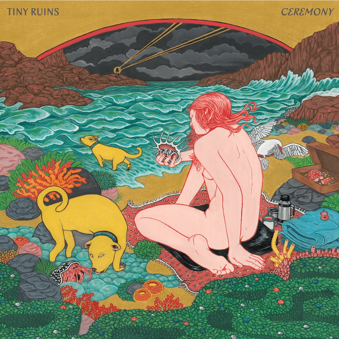 
                  
                    Tiny Ruins - Ceremony | Vinyl LP and CD
                  
                