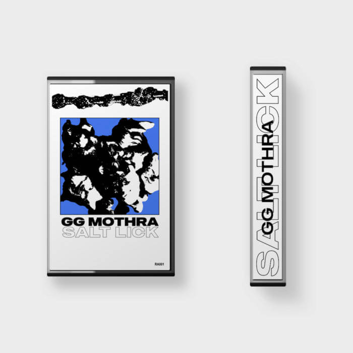 GG MOTHRA - Salt Lick - Flying Nun  | Vinyl | CD