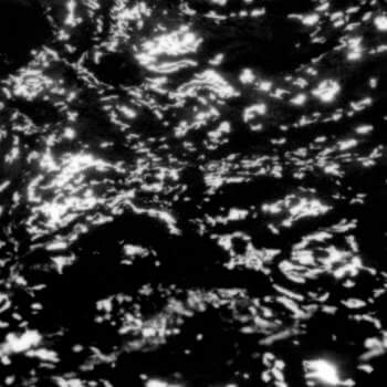 Grouper – A I A : Dream Loss - Flying Nun  | Vinyl | CD
