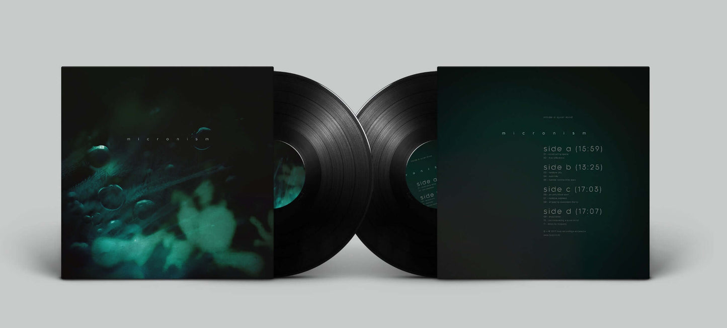 micronism - inside a quiet mind - Flying Nun  | Vinyl | CD