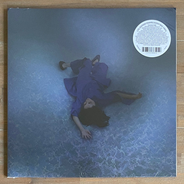 Lucrecia Dalt – ¡Ay! | Buy the Vinyl LP from Flying Nun Records