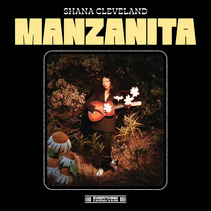 Shana Cleveland - Manzanita | Buy the Vinyl LP from Flying Nun Records