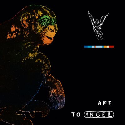 Pitch Black - Ape To Angel