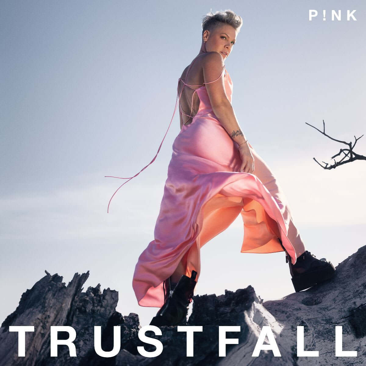 P!NK - Trustfall - Flying Nun  | Vinyl | CD