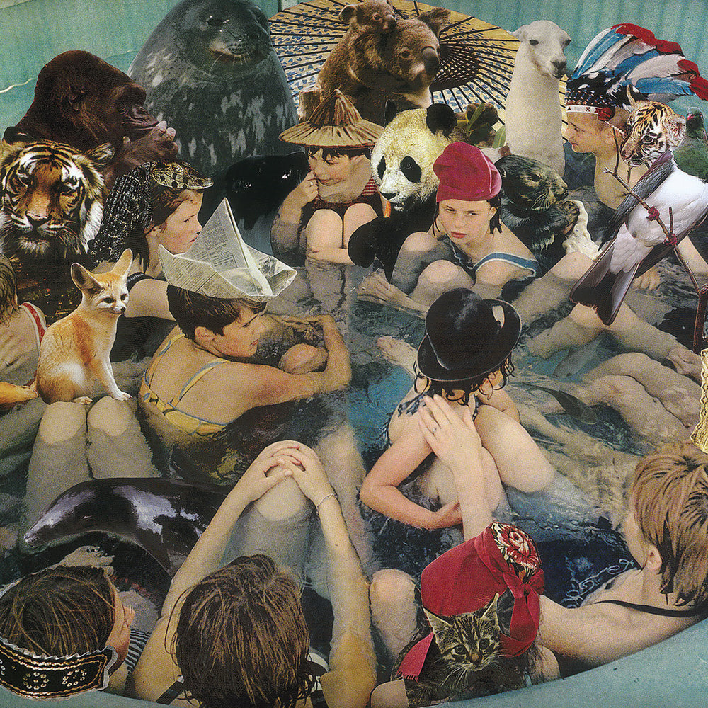 Panda Bear - Person Pitch | Buy the Vinyl LP from Flying Nun Records