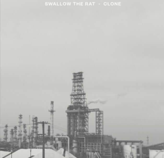 Clone / Swallow The Rat - Swallow The Rat/Clone - Flying Nun  | Vinyl | CD