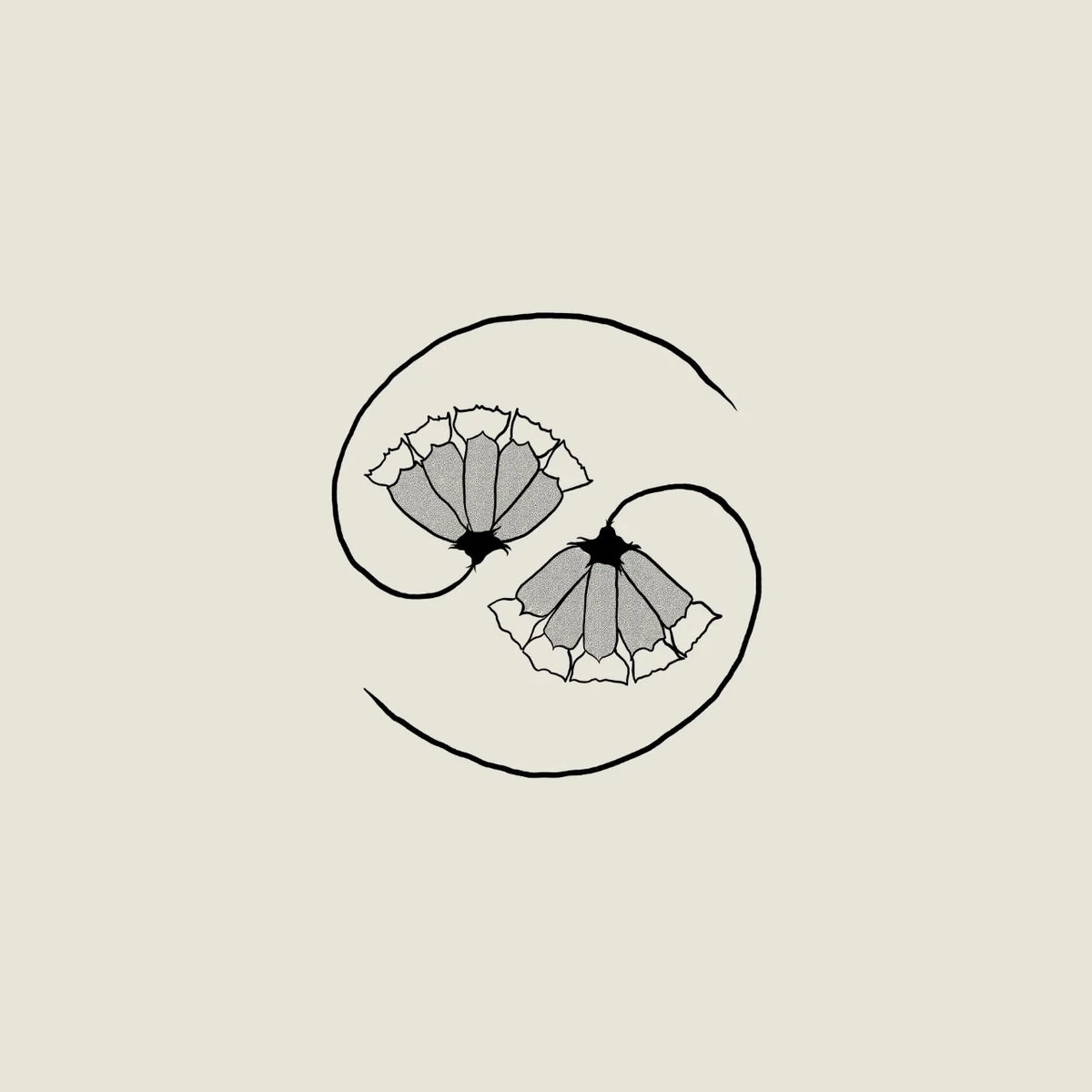 Godspeed You Black Emperor! - G_d's Pee AT STATE'S END – Flying Nun