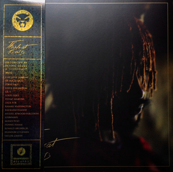 Thundercat – It Is What It Is - Flying Nun  | Vinyl | CD