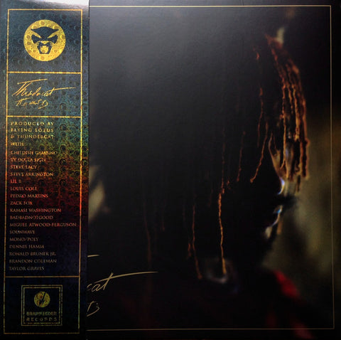 Thundercat – It Is What It Is - Flying Nun  | Vinyl | CD