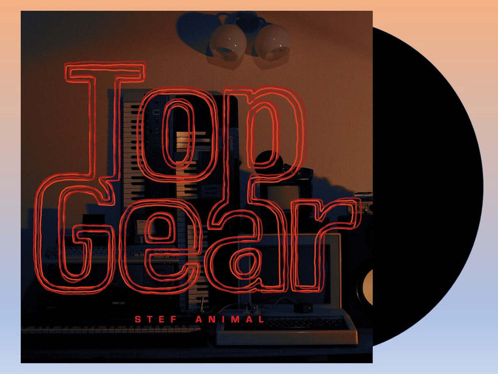Stef Animal - Top Gear - Flying Nun  | Vinyl | CD