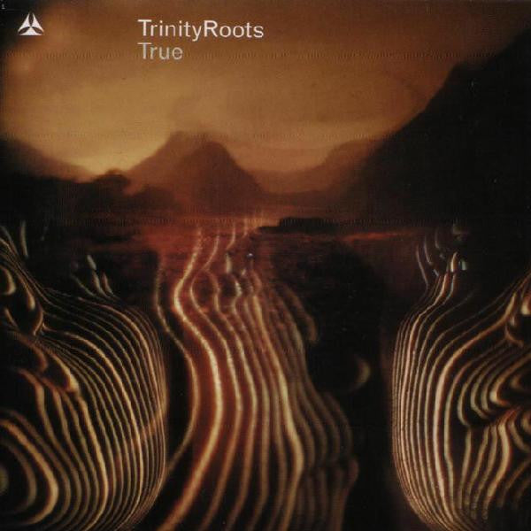 TrinityRoots – True | Buy the CD from Flying Nun Records
