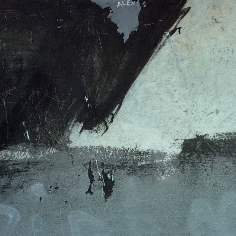 New Order - Shellshock 12" - Flying Nun  | Vinyl | CD