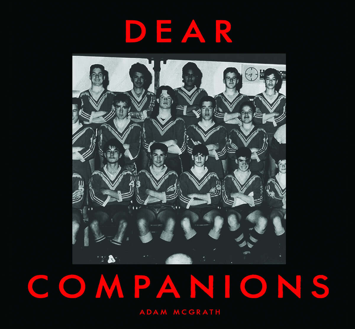 Adam McGrath - Dear Companions - Flying Nun  | Vinyl | CD