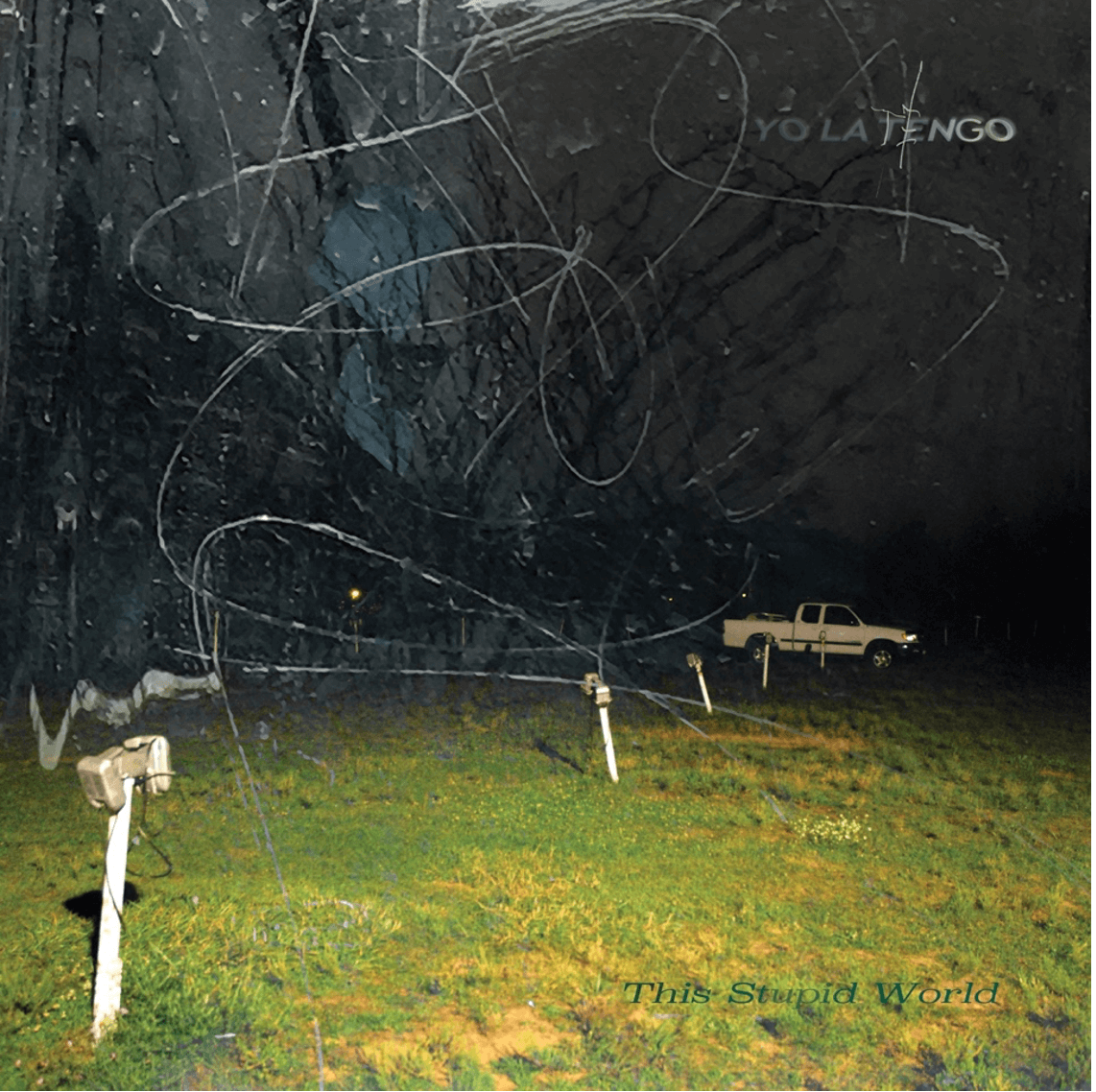 Yo La Tengo - This Stupid World - Flying Nun  | Vinyl | CD