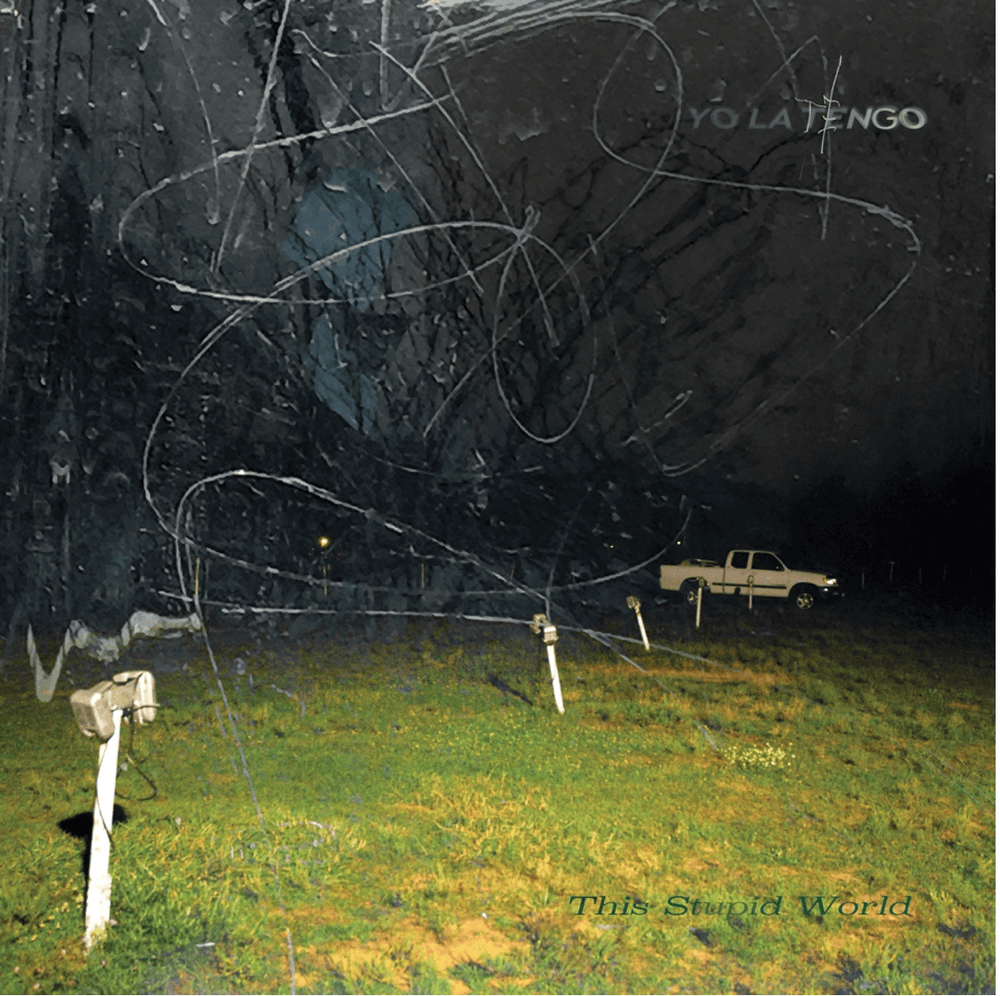 Yo La Tengo - This Stupid World - Flying Nun  | Vinyl | CD