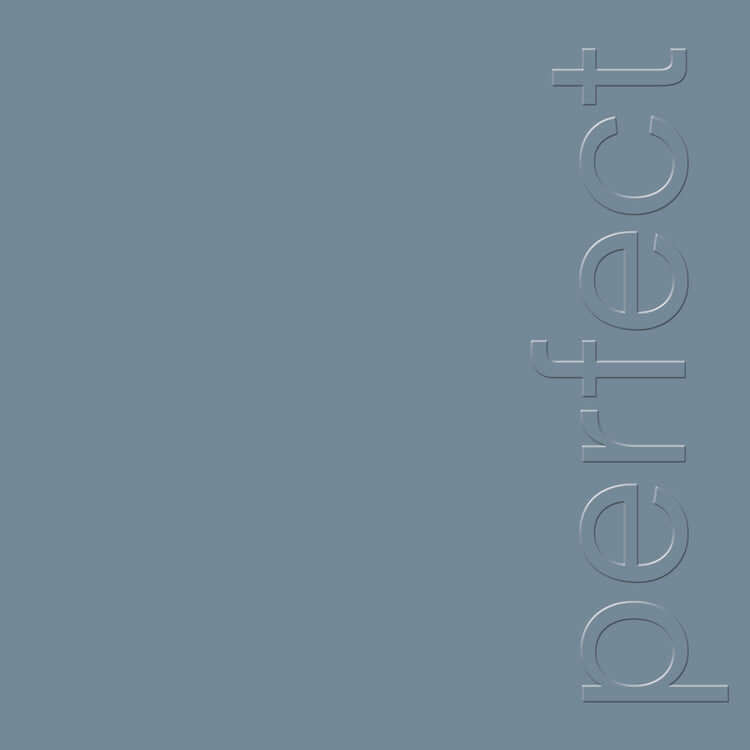 New Order - The Perfect Kiss (12") - Flying Nun  | Vinyl | CD